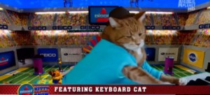 keyboardcat
